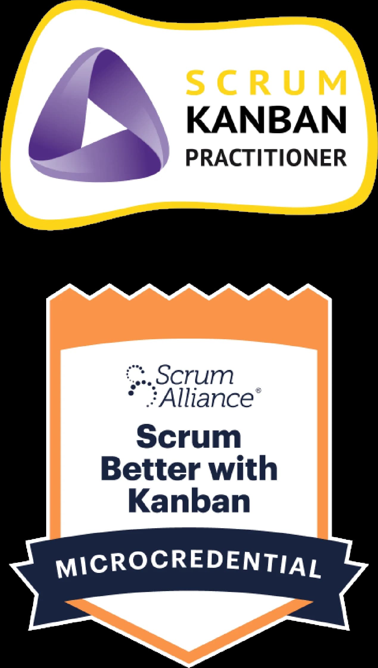 Partner logo 2