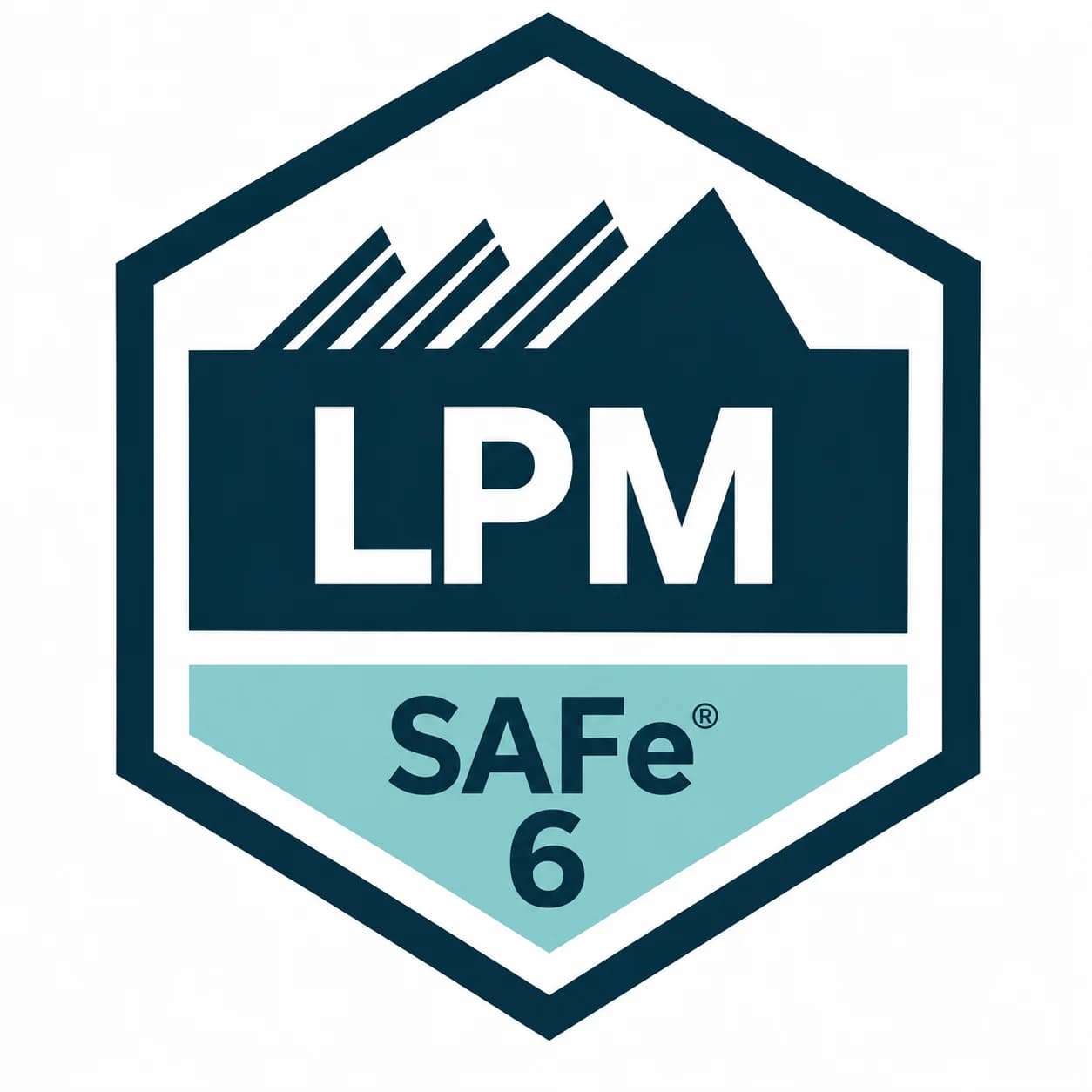 Partner logo 1