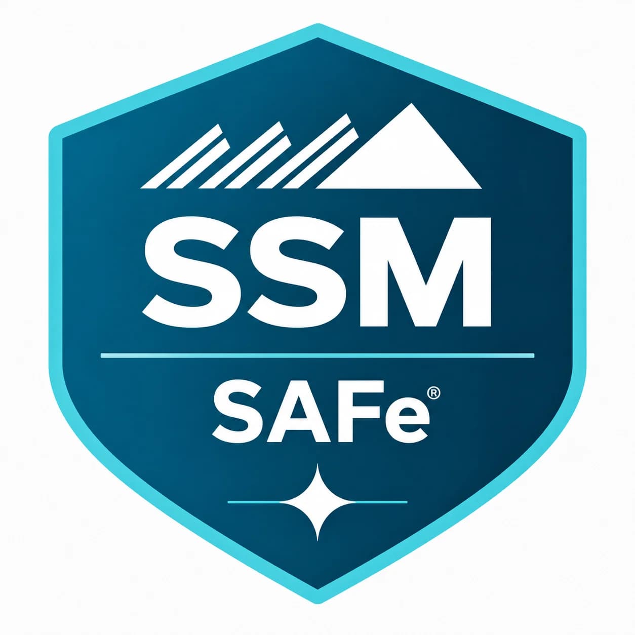 Partner logo 1